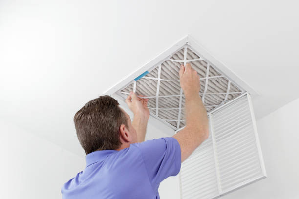 Best Local Air Duct Cleaning Services  in Pella, IA